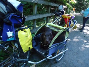 Mit Hund und Kindern auf dem GAP Bike Trail